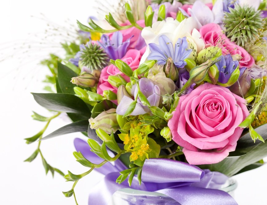 Любимые Цветы